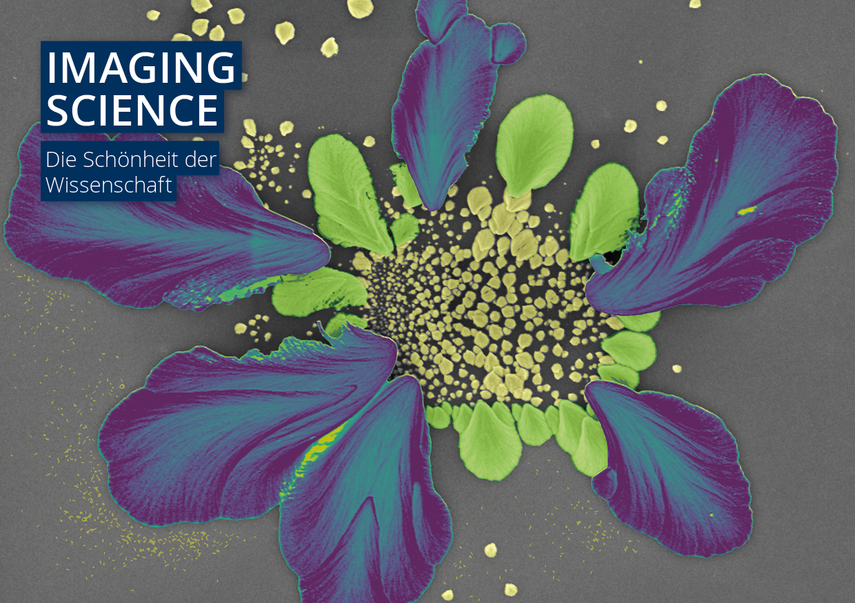 scientific image with text: Imaging Science. Die Schönheit der Wissenschaft.